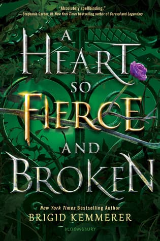 A Heart So Fierce and Broken cover