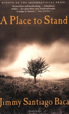 A Place to Stand cover