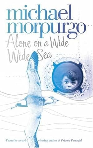Alone on a Wide Wide Sea cover