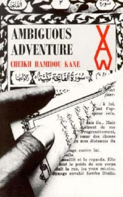Ambiguous Adventure cover