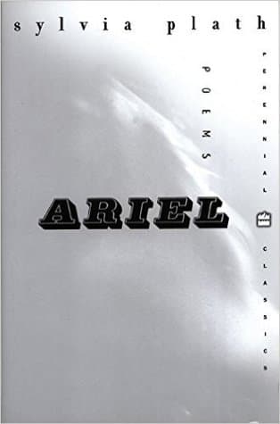 Ariel cover