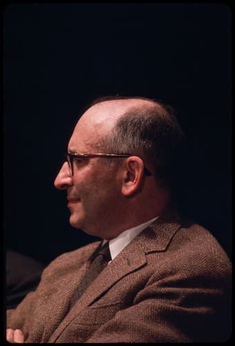 Bernard Malamud photo
