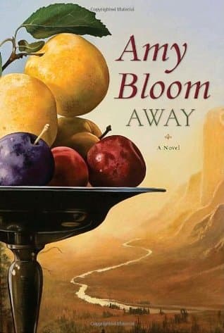 Away cover