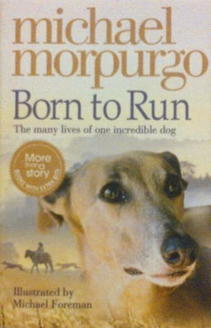 Born to Run cover