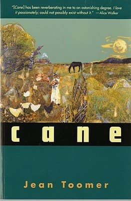 Cane cover