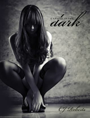 Captive in the Dark cover