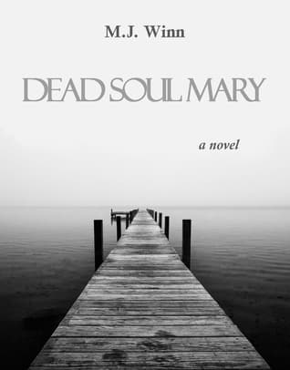 DSM cover
