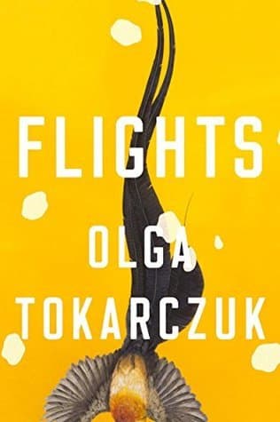 Flights cover