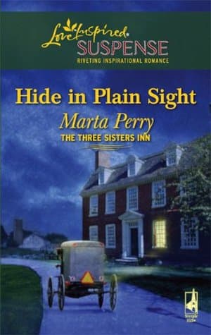 Hide in Plain Sight cover