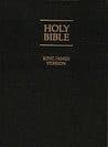 Holy Bible: King James Version cover