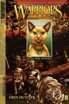 Into the Woods cover