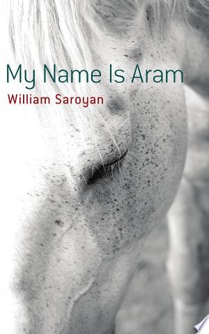 My Name Is Aram cover
