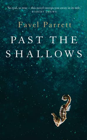 Past the Shallows cover