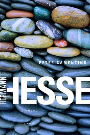 Peter Camenzind cover