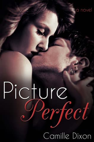 Picture Perfect cover
