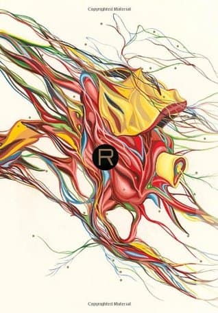 Rant cover