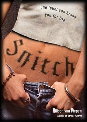 Snitch cover