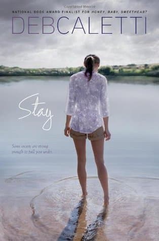 Stay cover