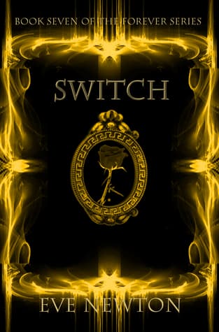 Switch cover