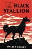 The Black Stallion cover