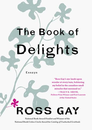 The Book of Delights cover