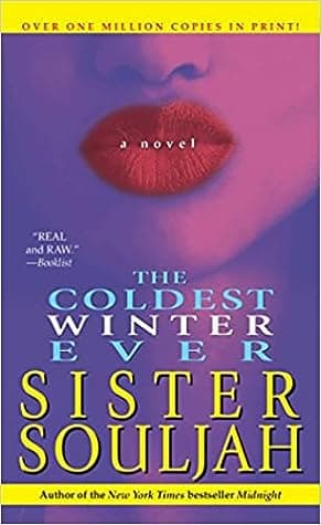 The Coldest Winter Ever cover