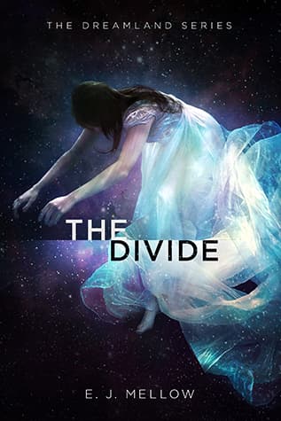 The Divide cover