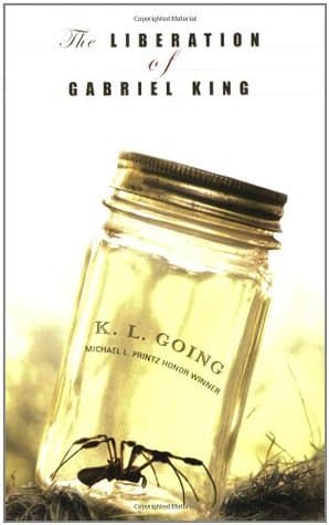 The Liberation of Gabriel King cover