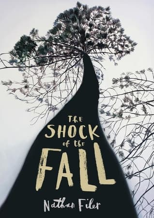 The Shock of the Fall cover