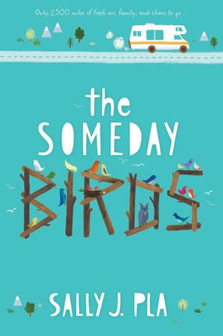 The Someday Birds cover