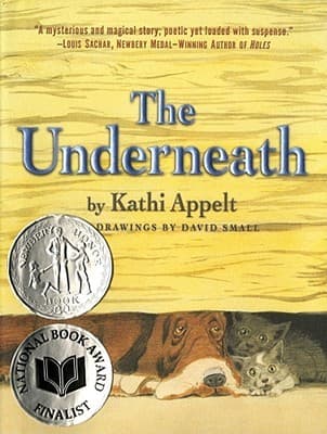 The Underneath cover