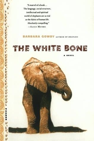 The White Bone cover