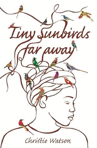 Tiny Sunbirds Far Away cover