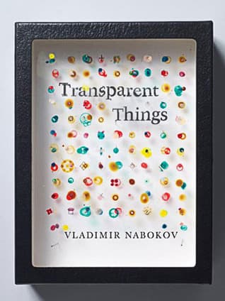 Transparent Things cover