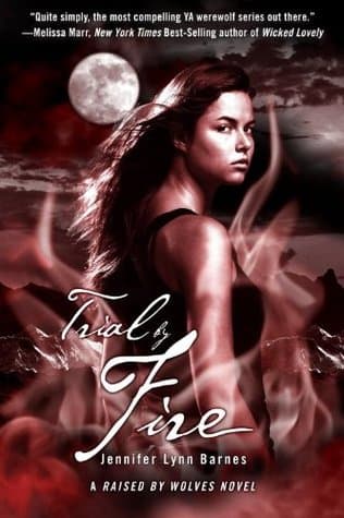 Trial by Fire cover