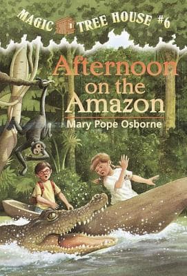 Afternoon on the Amazon cover
