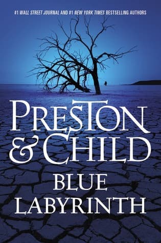 Blue Labyrinth cover