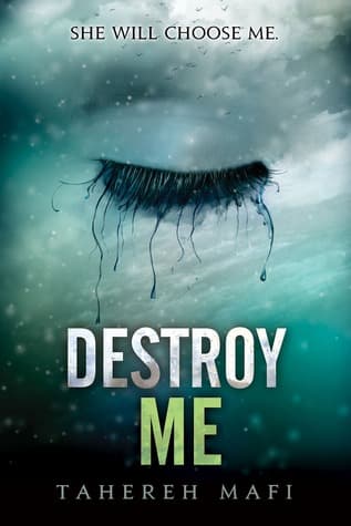 Destroy Me cover
