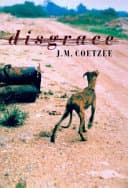Disgrace cover