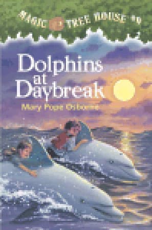 Dolphins at Daybreak cover