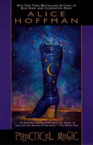 Practical Magic cover