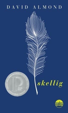 Skellig cover