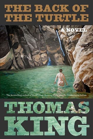 The Back of the Turtle cover
