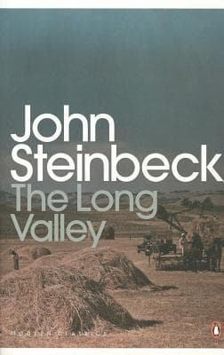The Long Valley cover