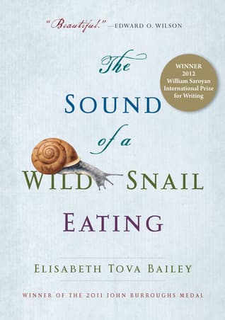 The Sound of a Wild Snail Eating cover