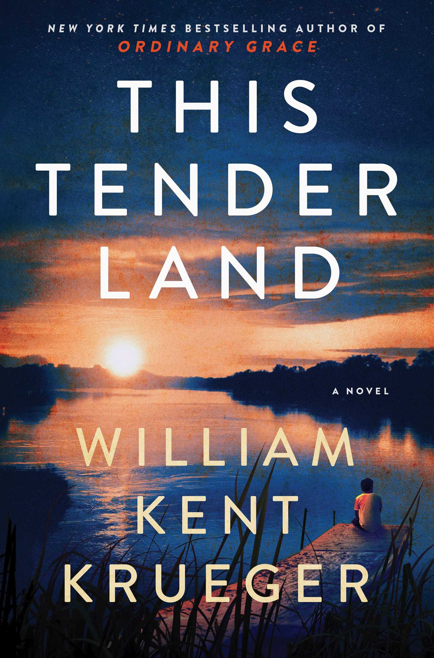 This Tender Land cover