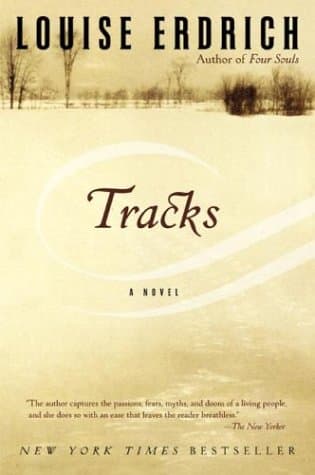 Tracks cover