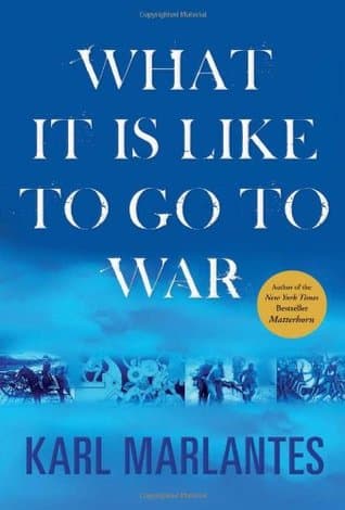 What It is Like to Go to War cover